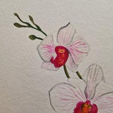 Original Watercolor (Minimal Orchid)