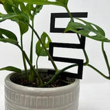 Plant Trellis