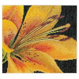 Cross-stitch kit  Lily 486A  Thea Gouverneur  18 ct  15 x 14 cm
