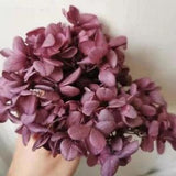 Natural Preserved Hydrangea Dried Flower Wedding Ornament Home Decorations 5g