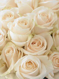 Wedding & Party Dresses | Sustainable Bridal | Reformation Flower Delivery