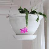 Hanging Ceramic Pottery Planter with catch basin, semi matte white, indoor/outdoor, 4 inch, 6 inch, 8 inch, 10 inch, made in Canada