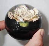 NEW LISTINGCarnation Flower in 75 mm Lucite Sphere Dome on Black Bottom DP75B