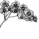 1. Orchid / 8.5 x 11" Matte Gicl???e Print / Continuous Line Drawing / Hand Drawn / Plant Art / Botanical Line Drawing / Minimalism