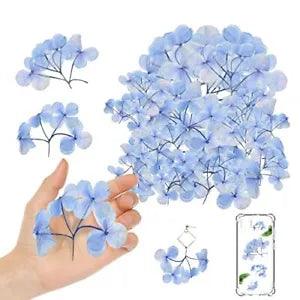 Blue Dried Pressed Flowers Hydrangea with Stem for Resin Crafts