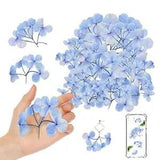 Blue Dried Pressed Flowers Hydrangea with Stem for Resin Crafts
