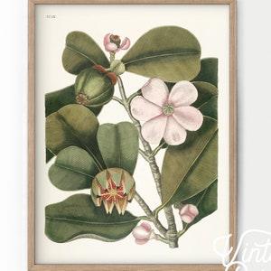 Flower Wall Art, Leaf Plants Print, Vintage Plant, Green Garden Print, Gift for her, Women Office Decor, Nursery Floral, High Quality Print