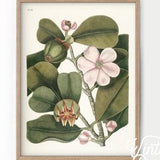 Flower Wall Art, Leaf Plants Print, Vintage Plant, Green Garden Print, Gift for her, Women Office Decor, Nursery Floral, High Quality Print