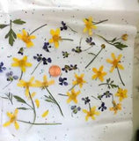 Buttercups & Violet Flowers Pressed Yellow Purple Stems Leaves Crafts