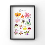 Orchid Varieties Print, Floral Wall Art, Botanical Illustration A3 Poster