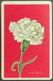 Flower Carnation Vintage Single Swap Playing Card Blank Back