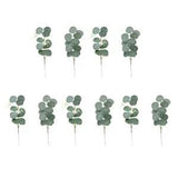 10PCS Plastic Eucalyptus Eucalyptus Dried Flower Eucalyptus Leaves Crafts