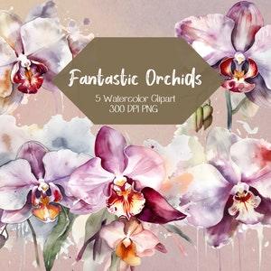 Clipart Wedding Invitation Orchid Clipart Watercolor Phalaenopsis Orchid Pink Orchid Watercolor Clipart Stationary Orchid