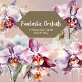 Clipart Wedding Invitation Orchid Clipart Watercolor Phalaenopsis Orchid Pink Orchid Watercolor Clipart Stationary Orchid