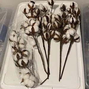 Natural White Cotton Stem Flower Cotton Boll Branch Vase Display Decor 5 Pieces