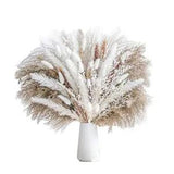 86PCS Natural Dried Pampas Grass, Phragmites, Dried Flowers, Bouquet for WeA4