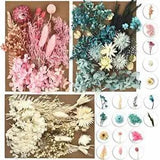 DALARAN 3 Pack Pressed Flowers for Candle Making DIY Dried Flowers Multiple N...