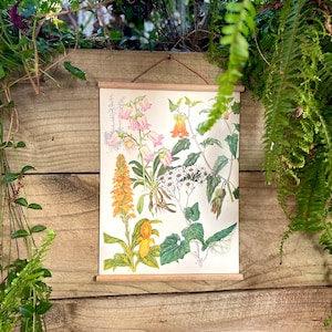 Summer - Wall hanging, Vintage Upcycled floral wall hanging. Print from 1970, Unique Retro Wall hanging, Botanical Illustration