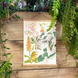 Summer - Wall hanging, Vintage Upcycled floral wall hanging. Print from 1970, Unique Retro Wall hanging, Botanical Illustration