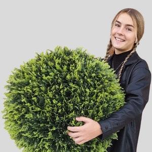 23" Size XL Cypress Topiary Ball