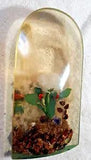 Vtg Lucite Resin Acrylic Dried Flower Carnation Floral Paperweight 9"tall 5"wde