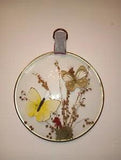 Vintage Convex Glass Butterflies Dried Flowers Italy 6.5"