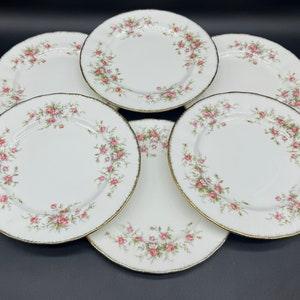 Paragon Victoriana Rose Salad Plates(Set of 6) Bone China England b.
