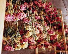 Expert Tips for Drying Hydrangeas Flower Delivery