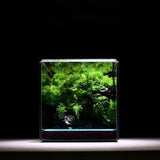 Green Cliff Terrarium, Glass Terrarium, Glass Geometric Terrarium, Miniature Terrarium, Florarium, Preserved Moss Terrarium, Georarium