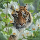 Tropical Tiger, Tiger Art Print, Tiger Painting, Orchid Artwork, Wild Cat Drawing, Jungle Cat Canvas, Big Cat Decor, Wildlife Art