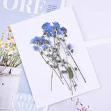 20pcs Pressed flowers with Stem Nature Real dried Flower DIY Wedding Craft...
