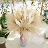 Natural Dried Pampas Grass  17.5