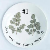 M&T 2007 12PCS real Pressed dry leaves, Floral supply for art craft FSS72