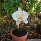 Needle Felted Orchid in Pot