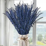 Dried Blue Lavender Flowers Bundle-Dried Preserved Lavender Bouquet 180+