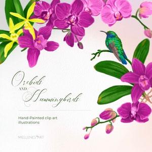 Orchids and hummingbirds clip art set. Exotic tropical flowers and birds clipart, purple pink orchids diy scrapbook botanical illustrations