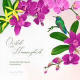 Orchids and hummingbirds clip art set. Exotic tropical flowers and birds clipart, purple pink orchids diy scrapbook botanical illustrations