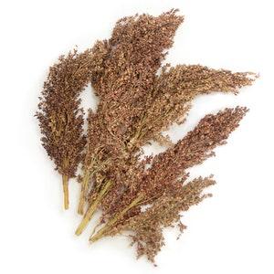 Sorghum Grass, Natural dried Sorghum, Floral & Garden Supplies, Dry Flower, Dried Flowers, Dried Grass, Home D??cor, Florist Supplies