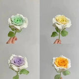 Crochet Rose Bouquet Beautiful Room Decor Knitted Flowers