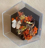 CUSTOM DRIED FLOWERS+BUTTERFLY in Hexacon case