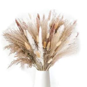 85ome  Arrangements, Dried Natural Pampas Grass Plants  Dried Flowers 43 cm O5Y6