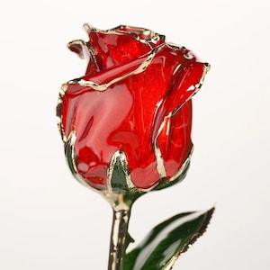100% Real Rose, 24K Gold Plated (Red) 11.5??? Gift Box, Anniversary, Wedding, Birthday, Christmas, Mother??s Day, Valentines Day, Thanksgiving