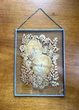 Vintage Pressed Dried Flower Art in Floating Frame - Window Hanging