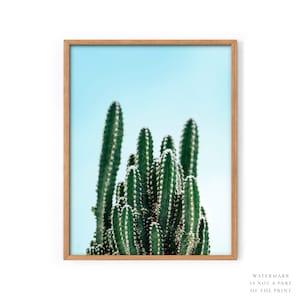 Green wall art Plant print Tropical palm leaf Dine room decor Cactus print Succulent Green abstract Botanical wall art Blue sky California