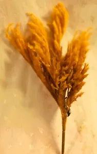 NWT Ashland Bush of Gold Pampas Grass - Approx. 21" Tall x 7" Long x 5" Wide
