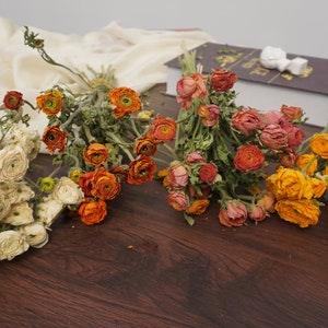 Dried Peony Bunch / Ranunculus / Blush Pink and Cream ,Orange,Yellow