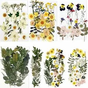 BIHRTC 100PCS Dried Flowers for Resin Real Dry Flower Natural Pressed Died Le...