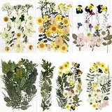 BIHRTC 100PCS Dried Flowers for Resin Real Dry Flower Natural Pressed Died Le...