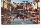 Lily Pond Water Lilies Lotus Aquatic Plants Balboa Park San Diego CA Postcard
