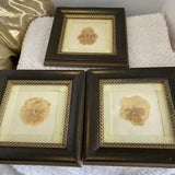 set of 3 vintage framed dried flowers yellow ribbon brown frames 7??? x 7???